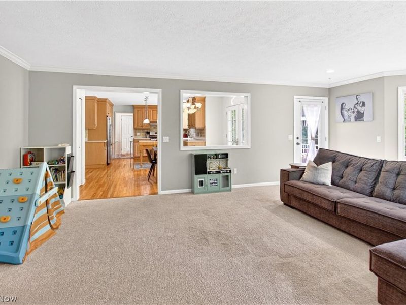 9103 Lake In The Woods Trail, Chagrin Falls, OH 44023 Photo 8