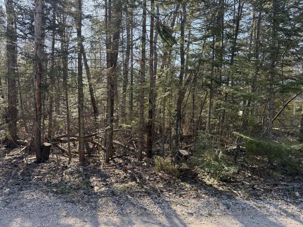 14241 Waldmar Court, Cheboygan, MI 49721