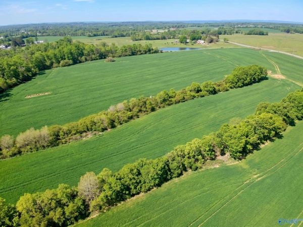 15.98 Acres County Road 154, Section, AL 35771