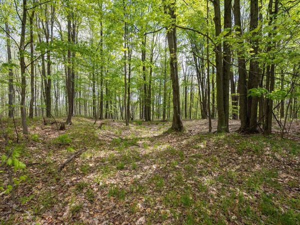 16130 140th Avenue, Leroy, MI 49655