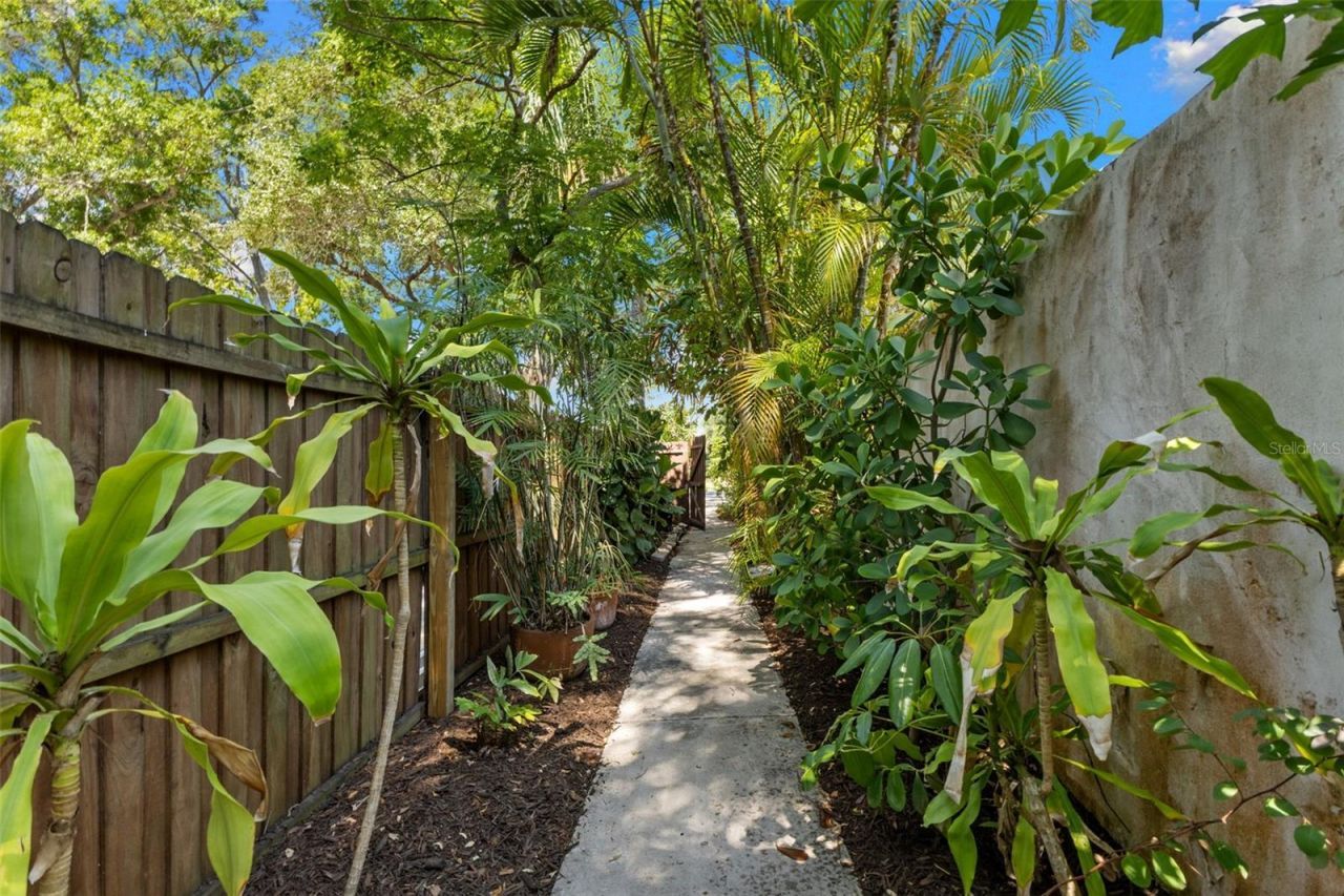 135 Aranda Street Ne, Saint Petersburg, FL 33704 Photo