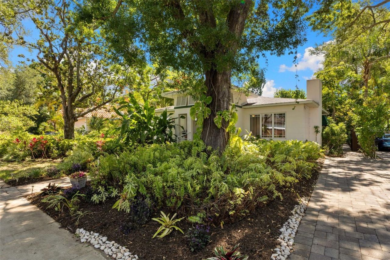 135 Aranda Street Ne, Saint Petersburg, FL 33704 Photo