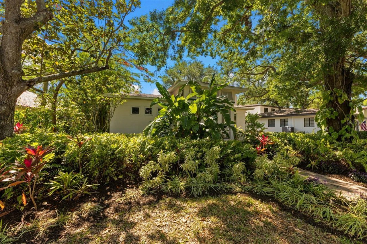 135 Aranda Street Ne, Saint Petersburg, FL 33704 Photo