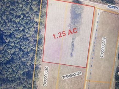 0 Jones Road, Awendaw, SC 29429