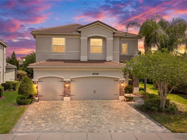 30271 SOUTHERN WOOD COURT , WESLEY CHAPEL, FL 33543