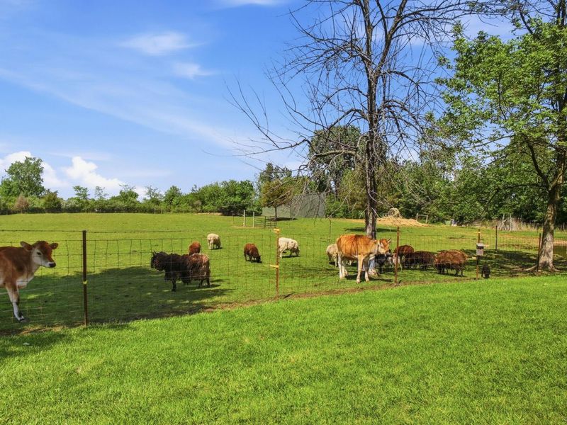 3435 State Route 187, London, OH 43140 Photo 56