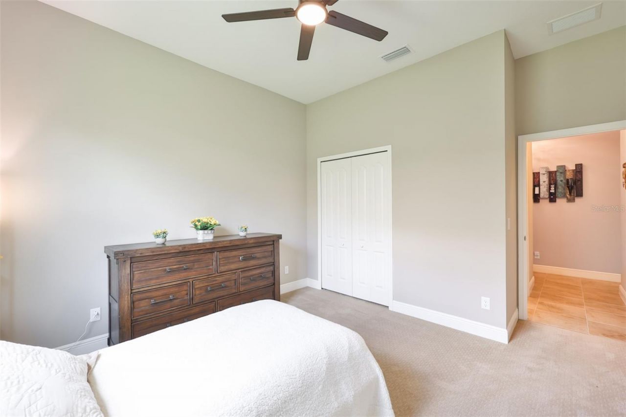 14269 Skipping Stone Loop, Parrish, FL 34219 Photo