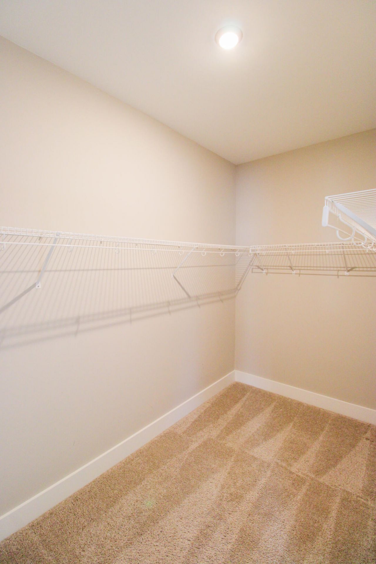 286 Great Lawn Drive Photo 18