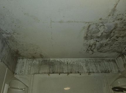 4606 Neil Road, Unit 205, Reno, NV 89502 Photo