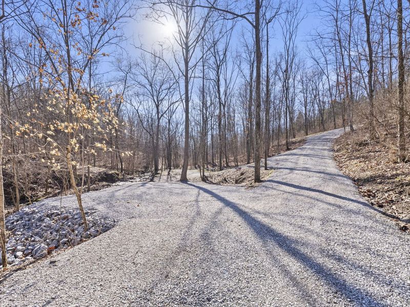 10.60 Swanee Shore Drive, Williamstown, KY 41097 Photo 17
