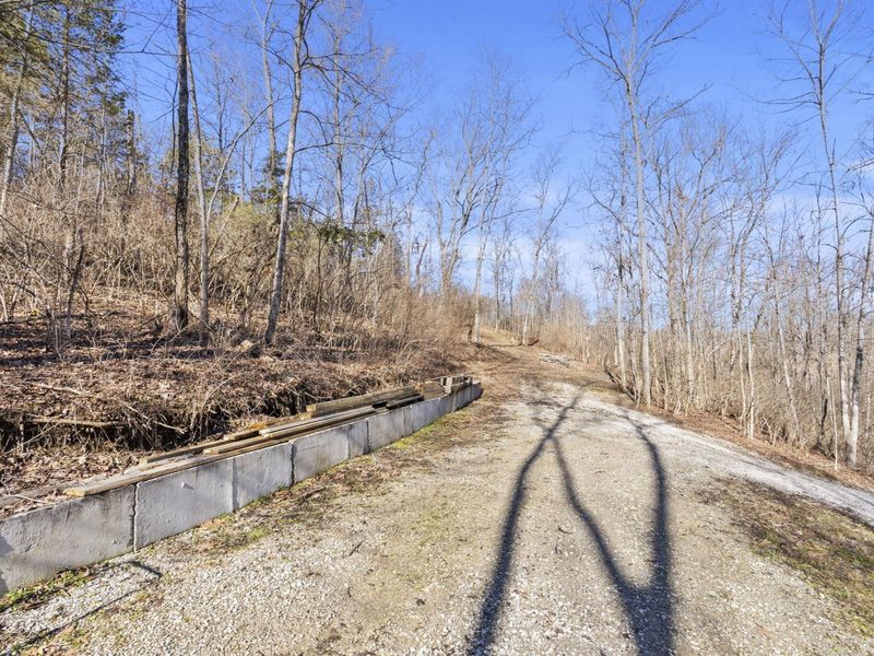 10.60 Swanee Shore Drive, Williamstown, KY 41097 Photo 20