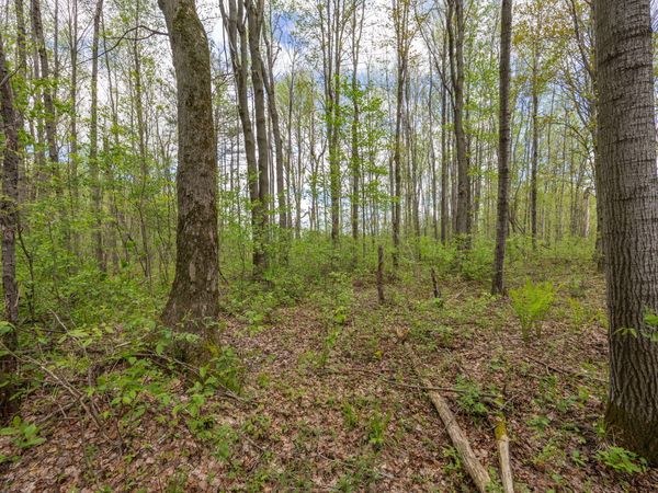 16130 140th Avenue, Leroy, MI 49655
