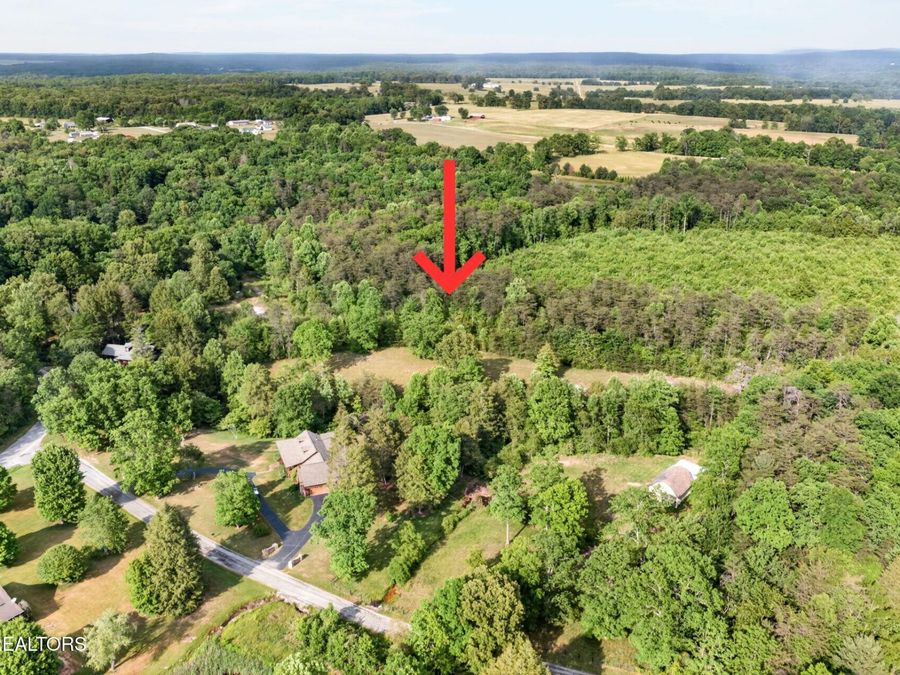 Property Image 47