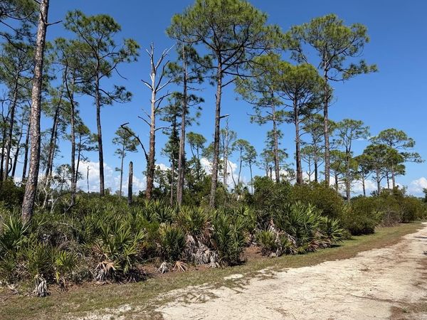 Museum Dr, Cedar Key, FL 32625