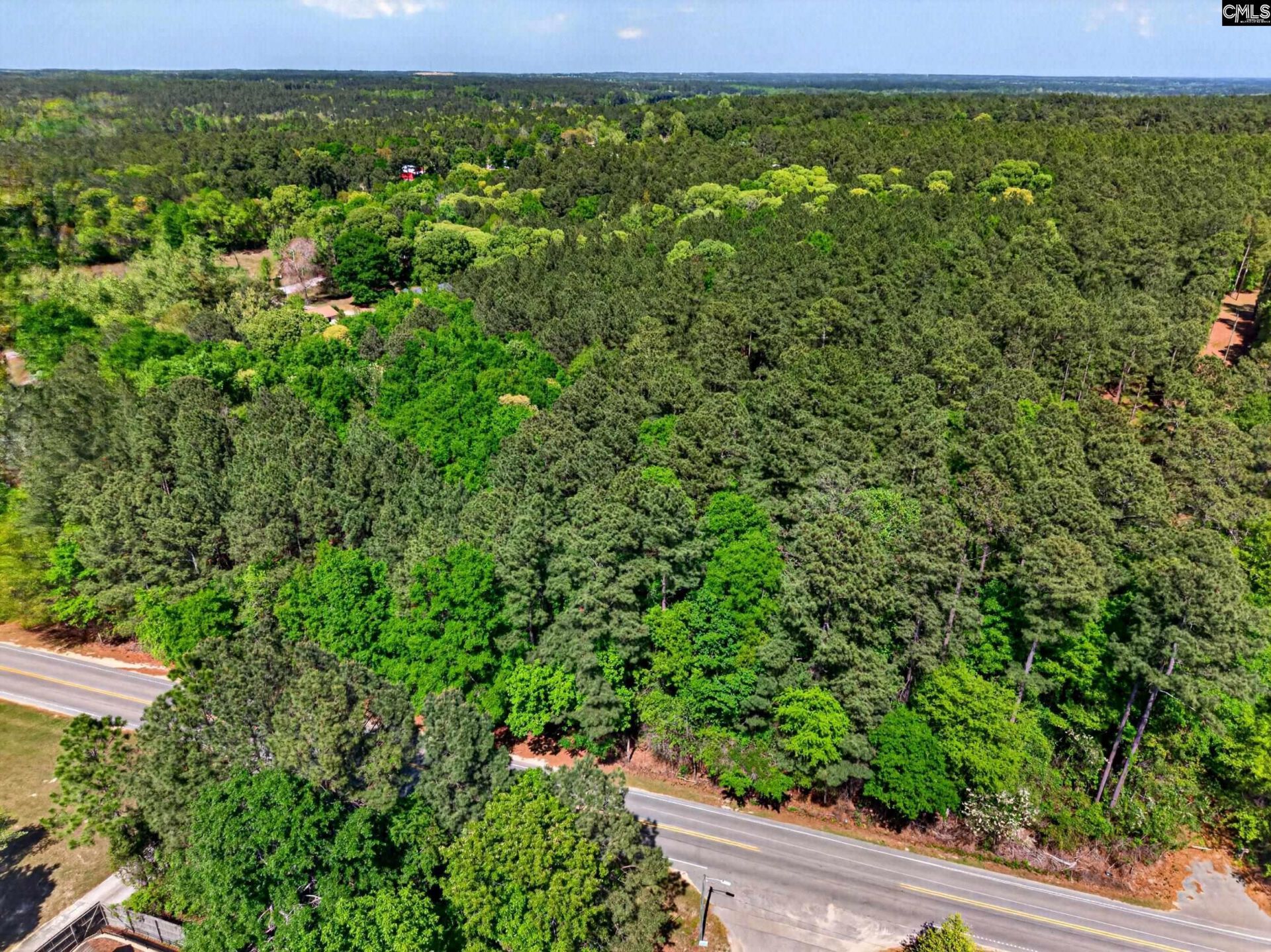 219 Juniper Springs Road  Photo 4