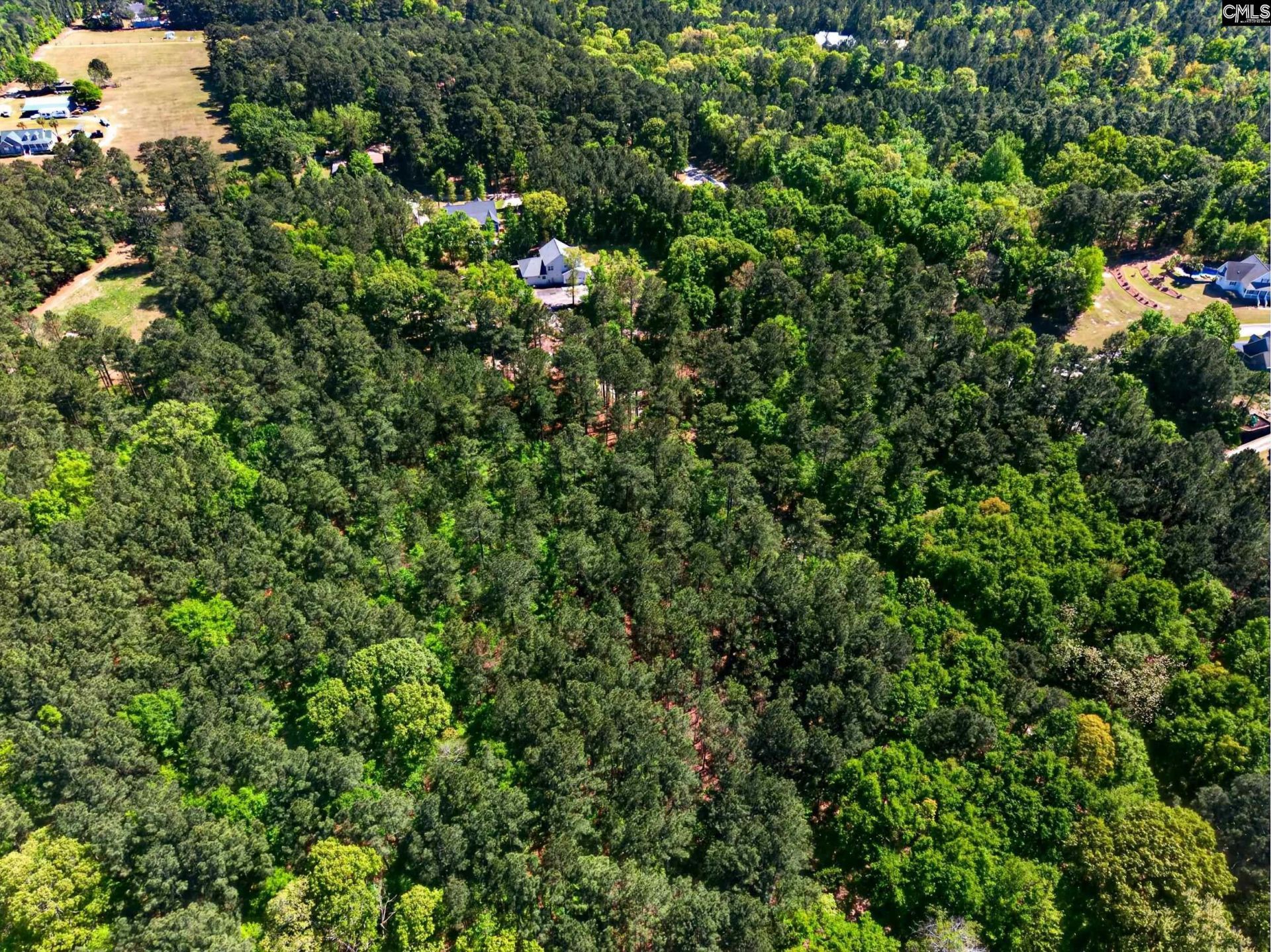 219 Juniper Springs Road  Photo 5