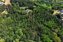 219 Juniper Springs Road  photo 4