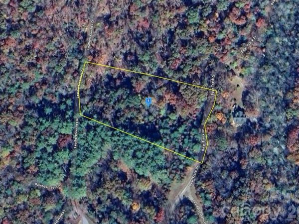 51 Bear Track Drive , Tuckasegee, NC 28783