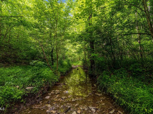 Tbd Rocky Hollow Road, Rogersville, TN 37857