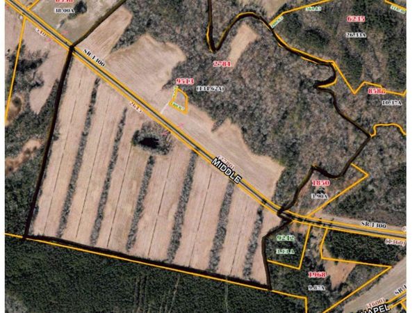65 Ac Middle Road , Trenton, NC 28585