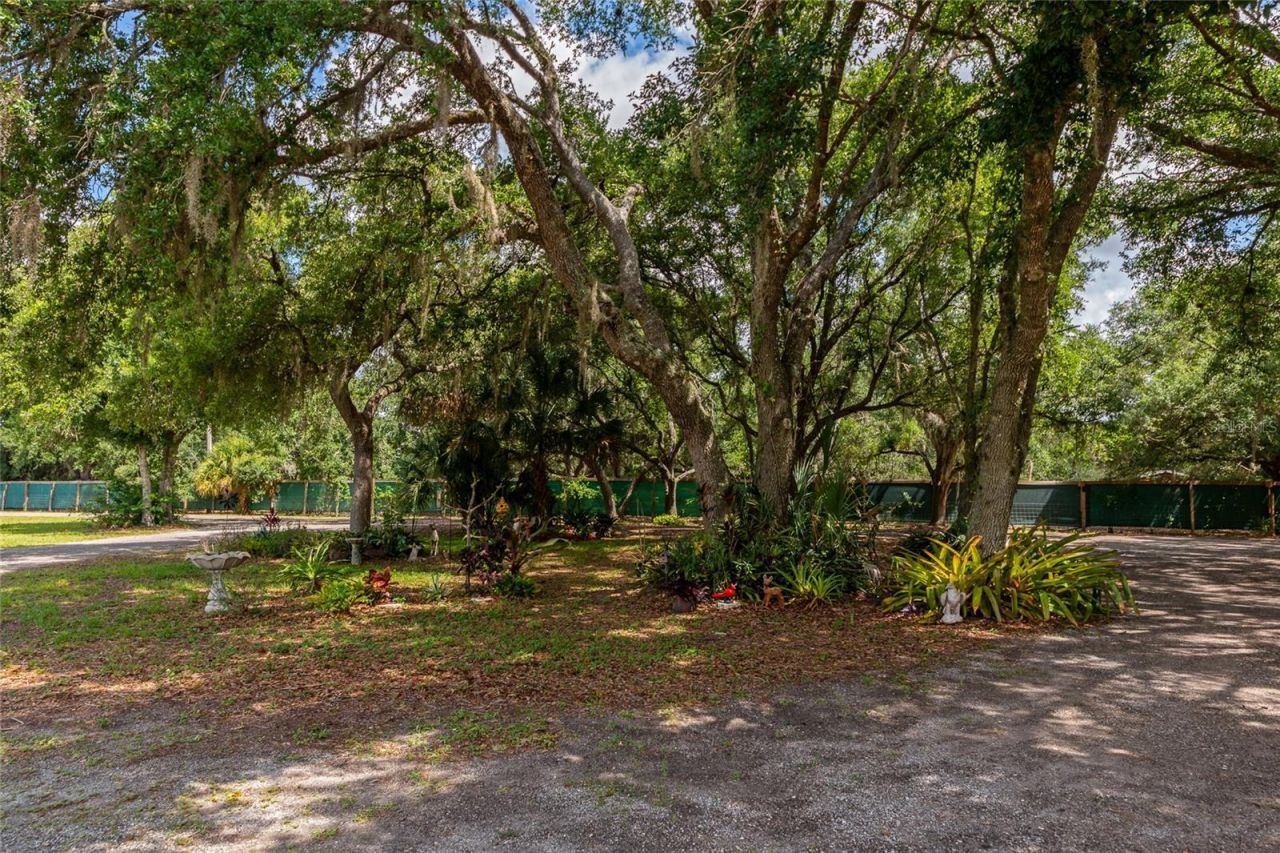 14705 Mossy Hammock Lane, Myakka City, FL 34251 Photo