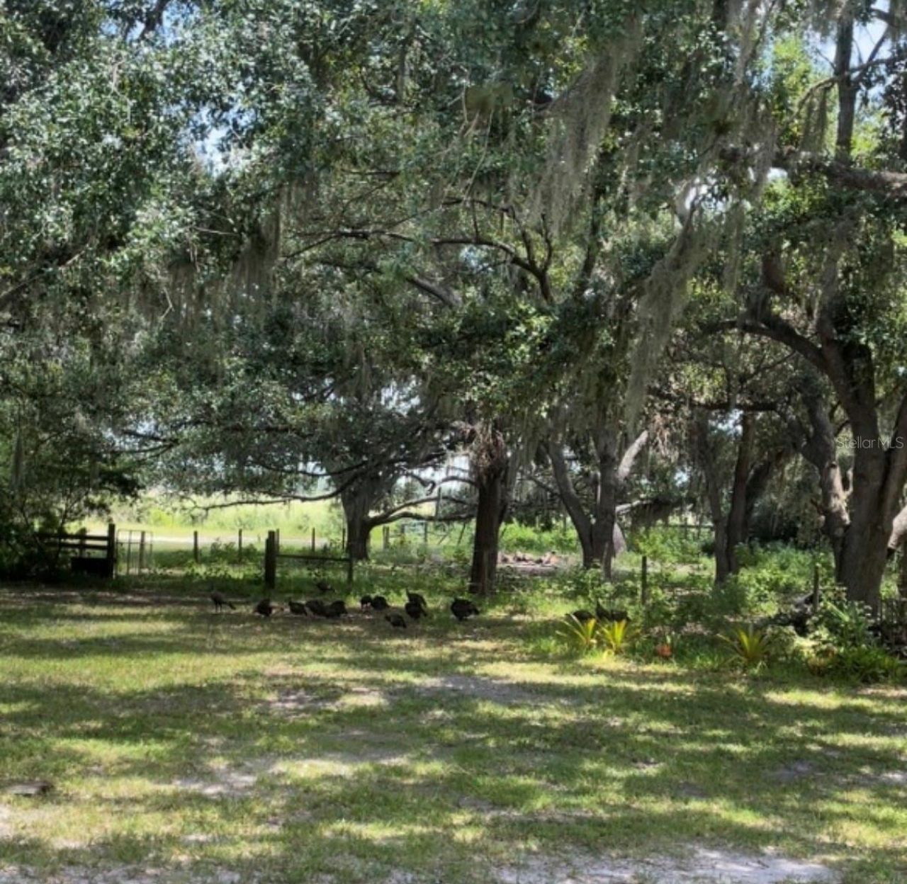 14705 Mossy Hammock Lane, Myakka City, FL 34251 Photo