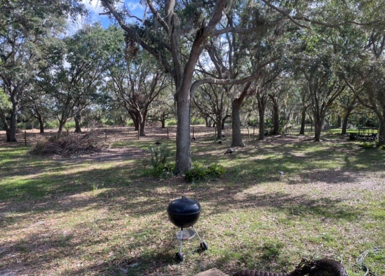 14705 Mossy Hammock Lane, Myakka City, FL 34251 Photo