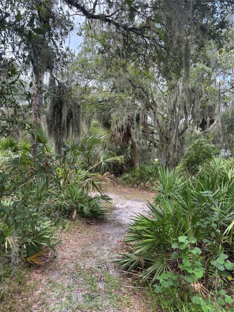 14705 Mossy Hammock Lane, Myakka City, FL 34251 Photo