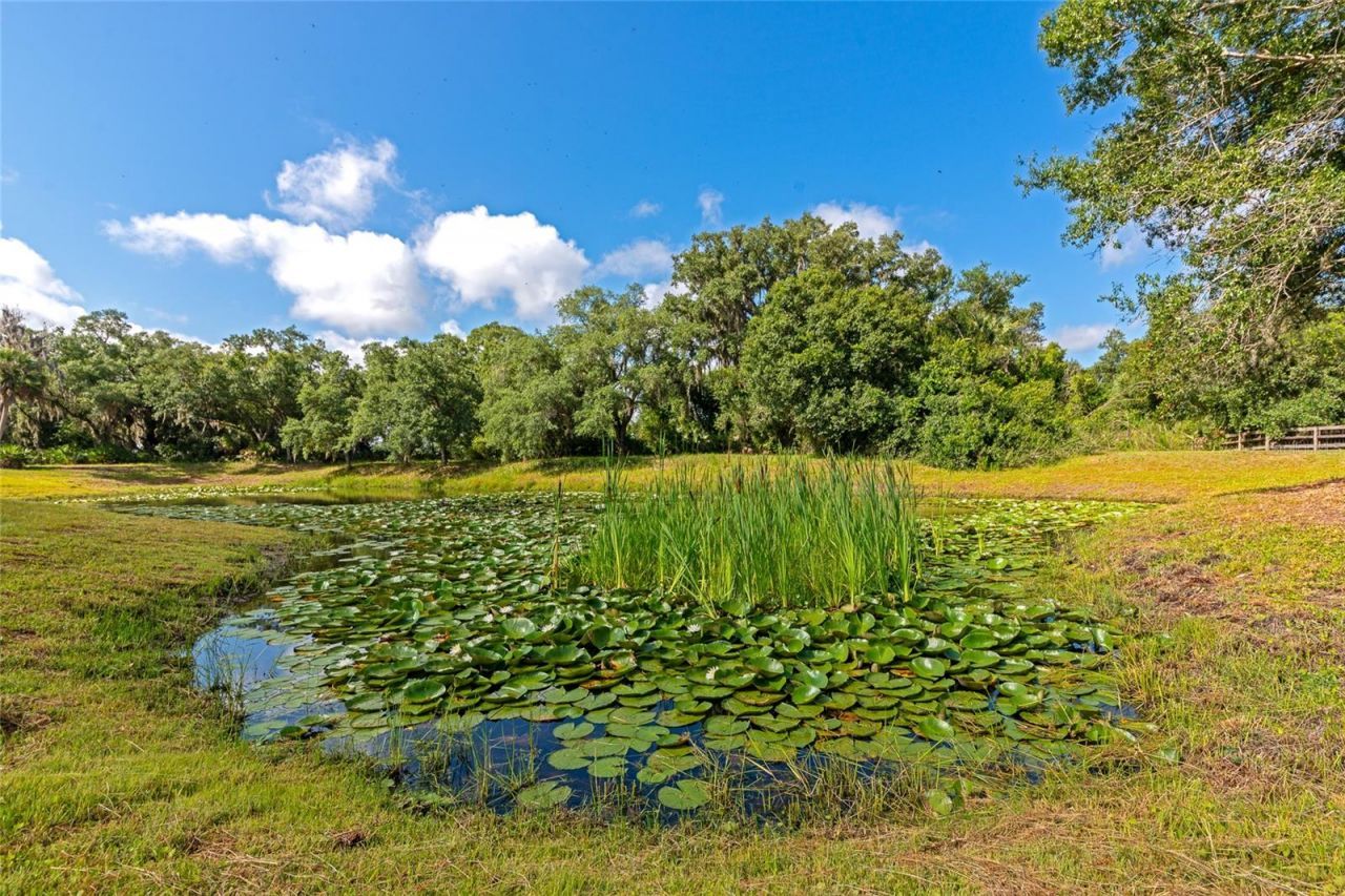 14705 Mossy Hammock Lane, Myakka City, FL 34251 Photo