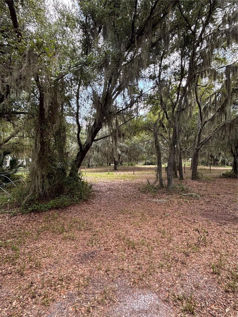 14705 Mossy Hammock Lane, Myakka City, FL 34251 Photo