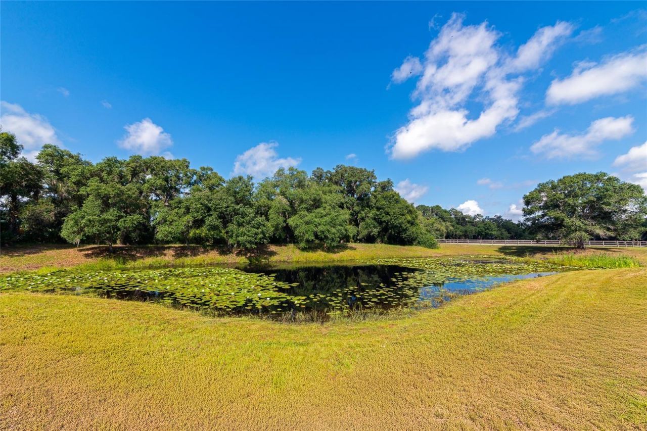 14705 Mossy Hammock Lane, Myakka City, FL 34251 Photo