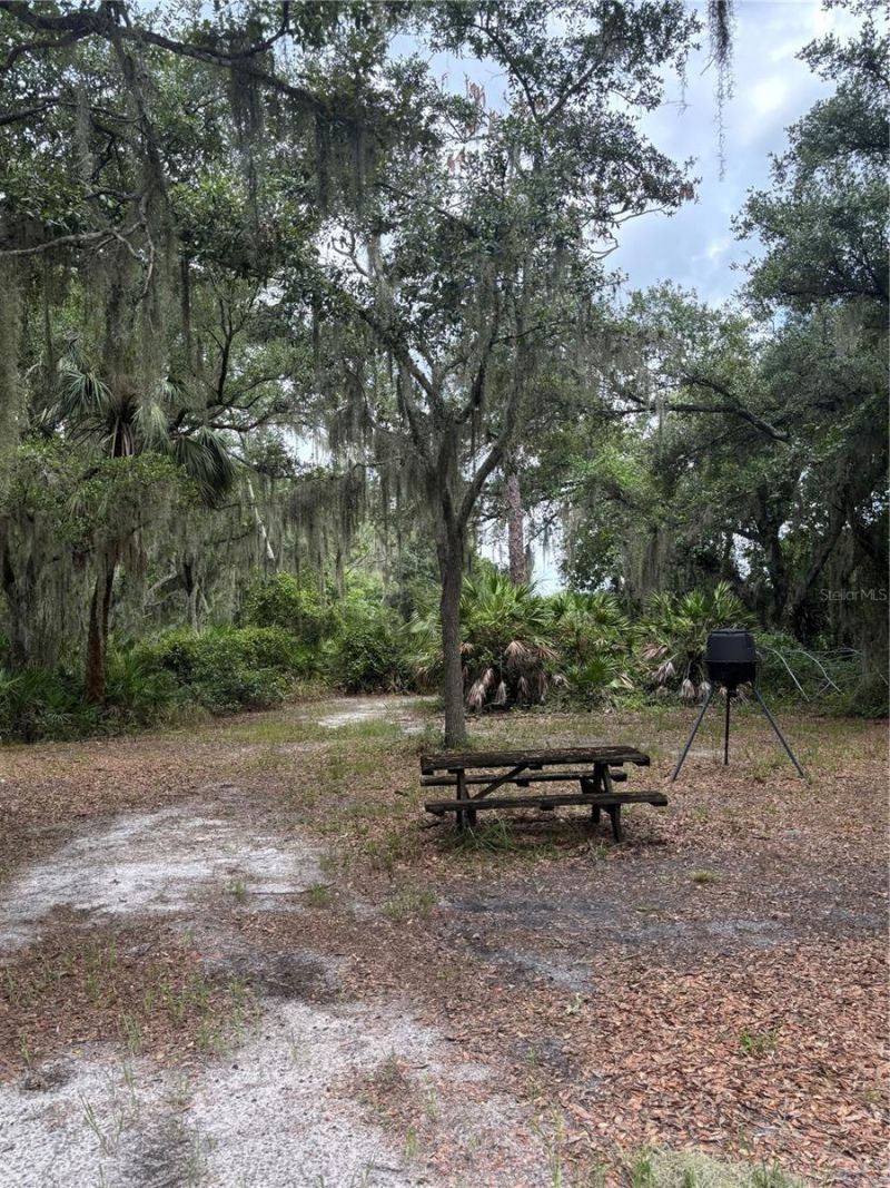14705 Mossy Hammock Lane, Myakka City, FL 34251 Photo