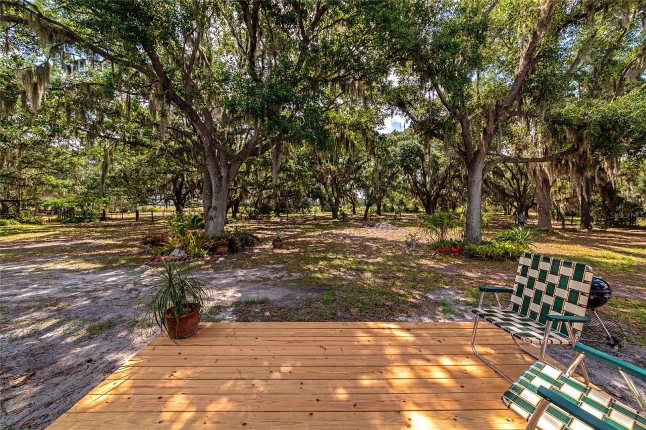 14705 Mossy Hammock Lane, Myakka City, FL 34251 Photo