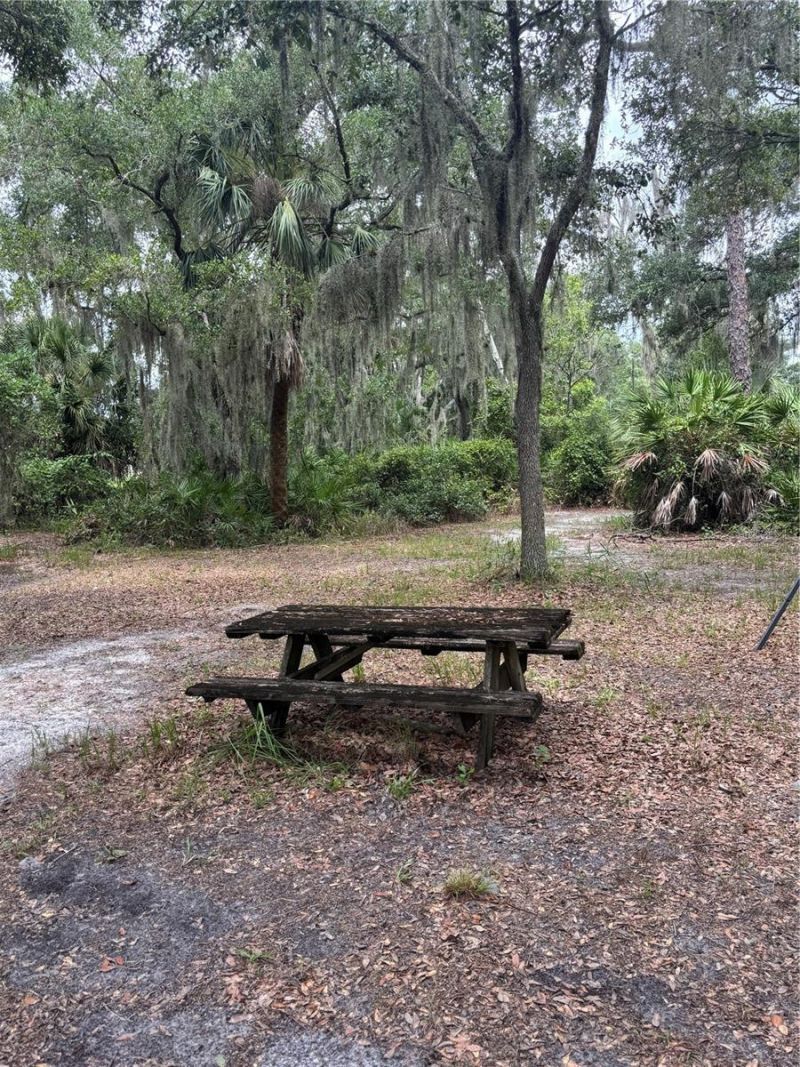 14705 Mossy Hammock Lane, Myakka City, FL 34251 Photo