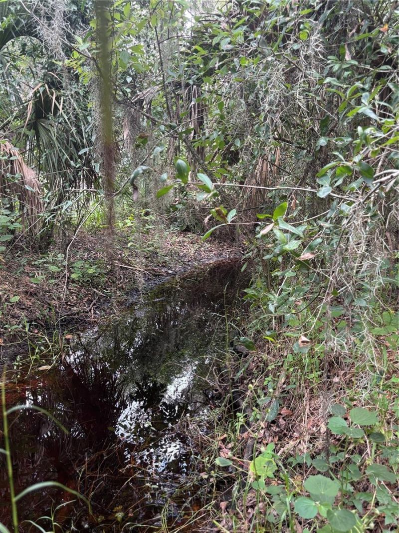 14705 Mossy Hammock Lane, Myakka City, FL 34251 Photo