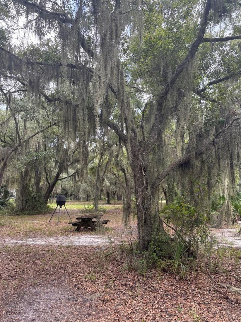 14705 Mossy Hammock Lane, Myakka City, FL 34251 Photo