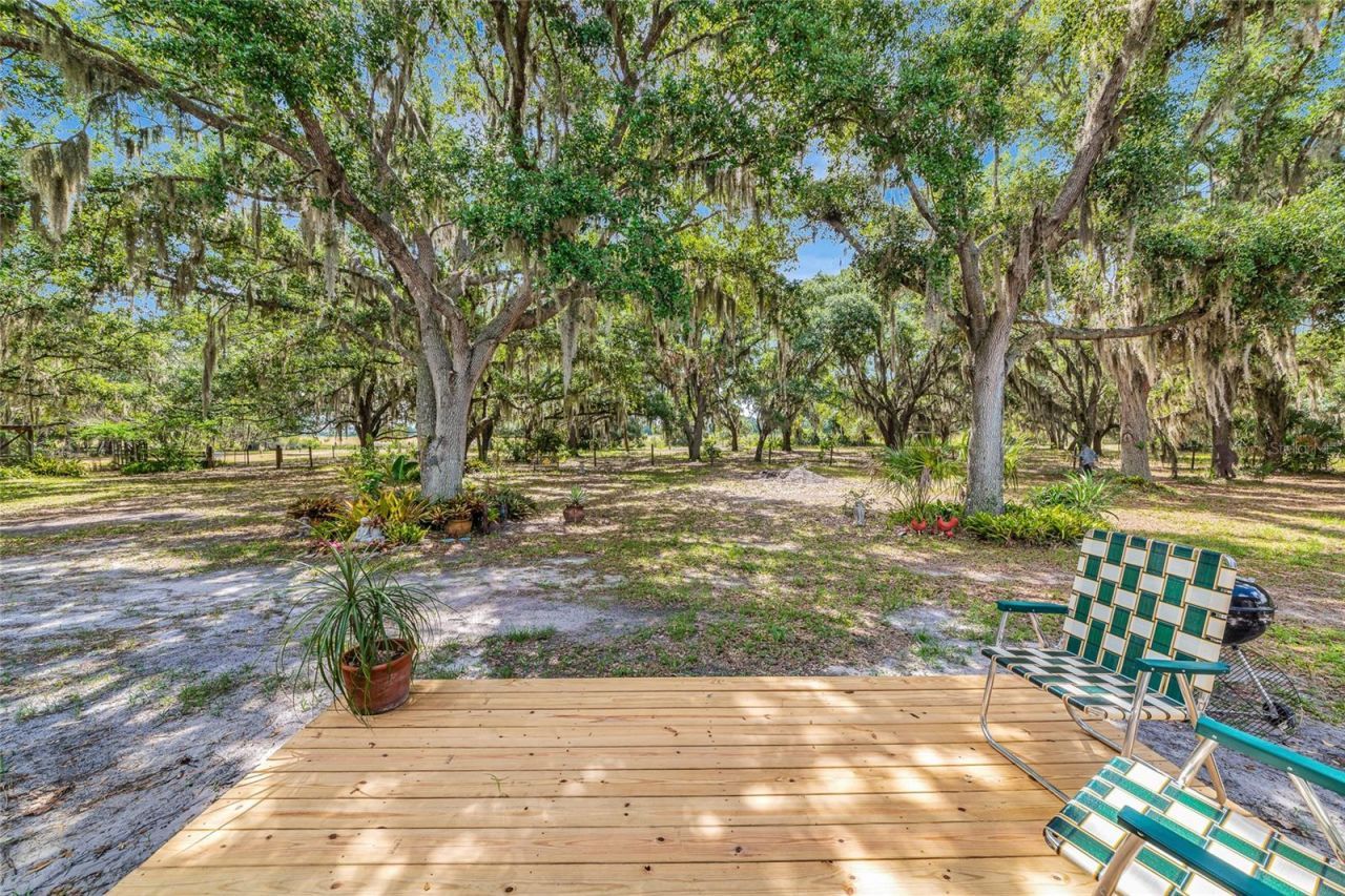 14705 Mossy Hammock Lane, Myakka City, FL 34251 Photo