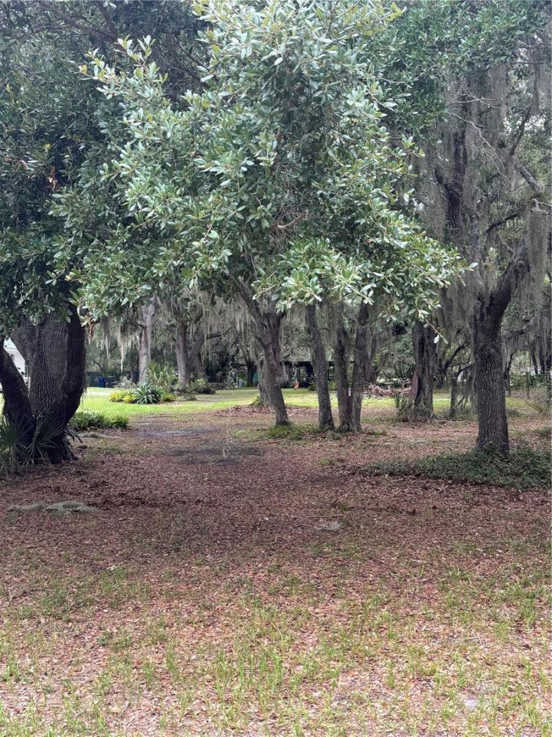 14705 Mossy Hammock Lane, Myakka City, FL 34251 Photo