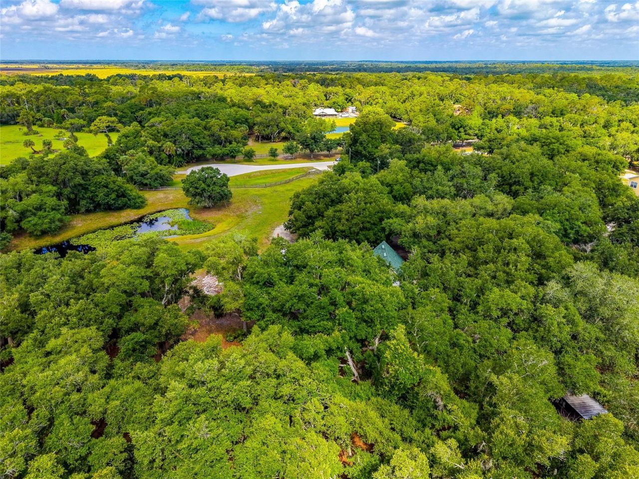 14705 Mossy Hammock Lane, Myakka City, FL 34251 Photo