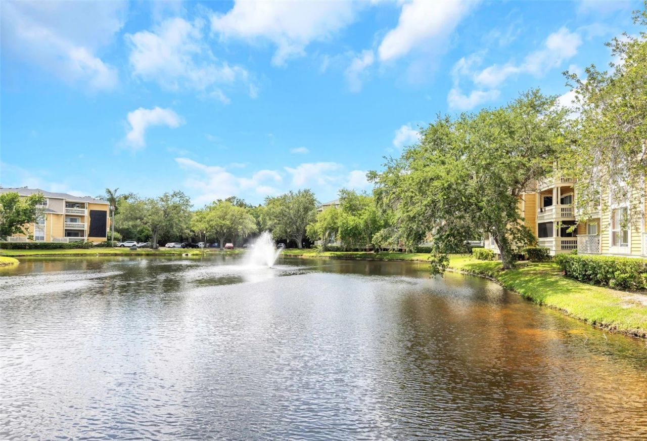 115 112th Avenue Ne, Unit 703, Saint Petersburg, FL 33716 Photo