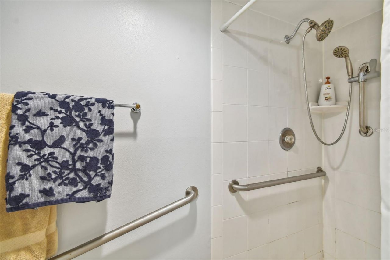 2413 Bayshore Boulevard, Unit 202, Tampa, FL 33629 Photo