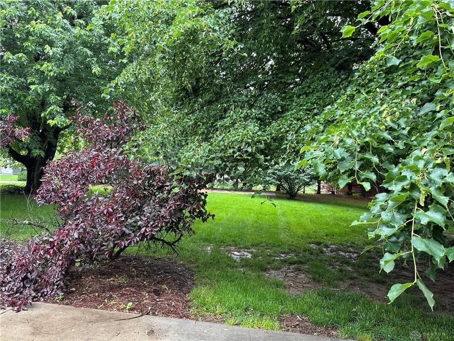 Property Image 56
