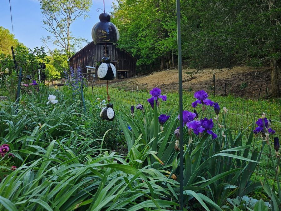 Property Image 15