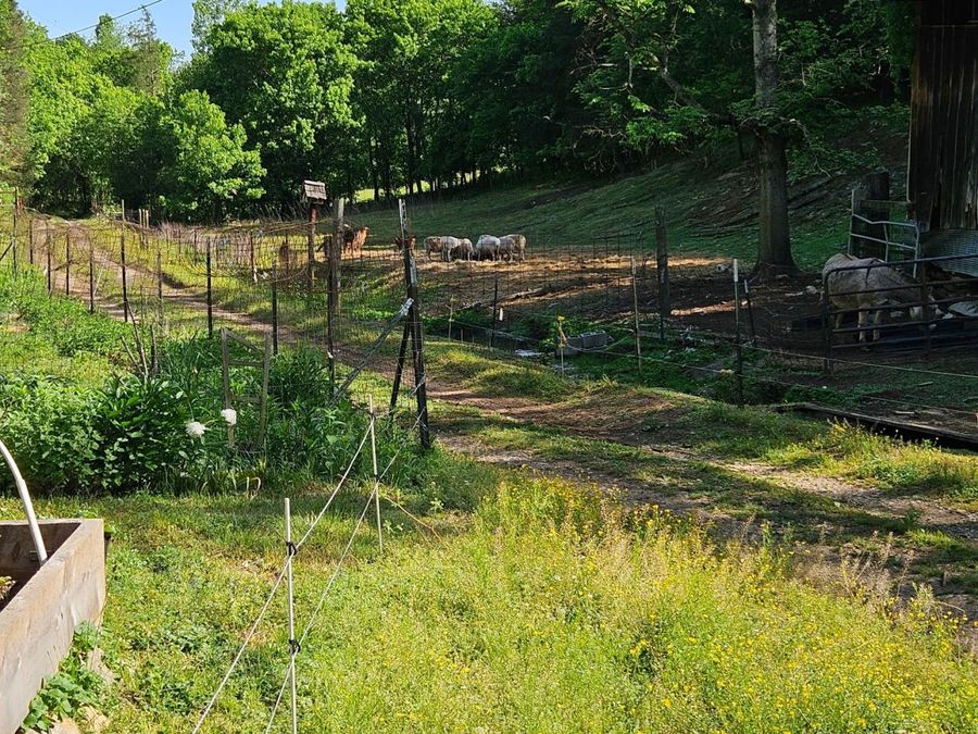 Property Image 17