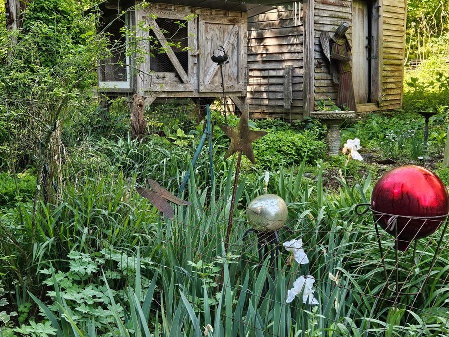 Property Image 23