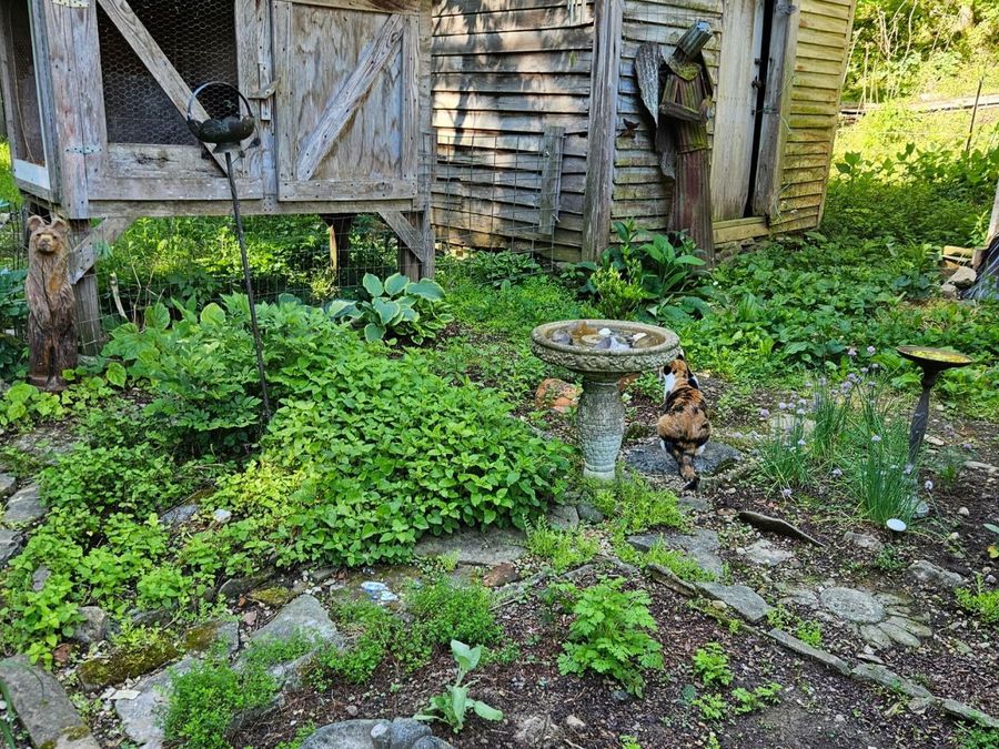 Property Image 24
