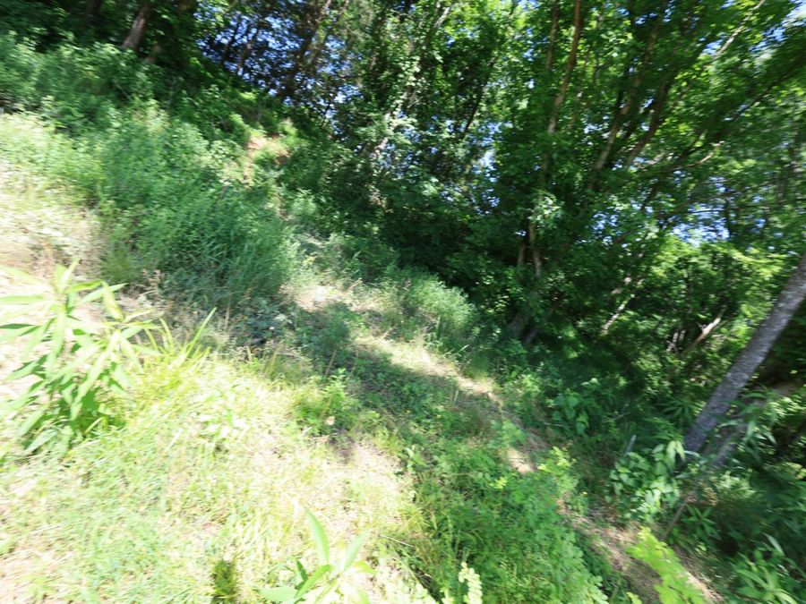 Property Image 41