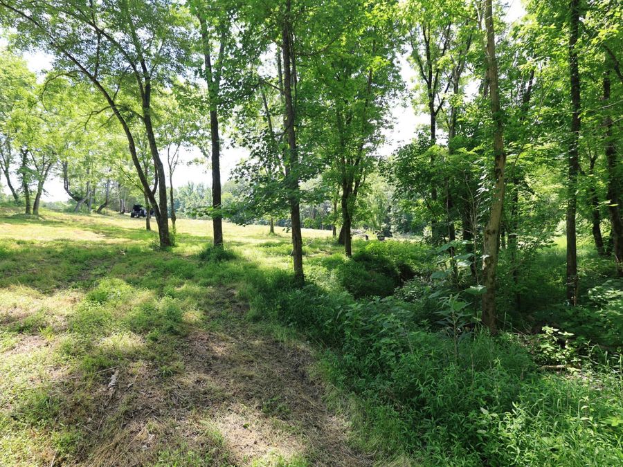 Property Image 43