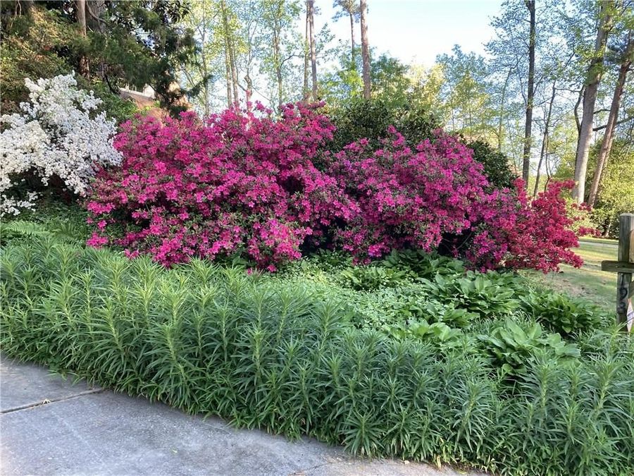 Property Image 67