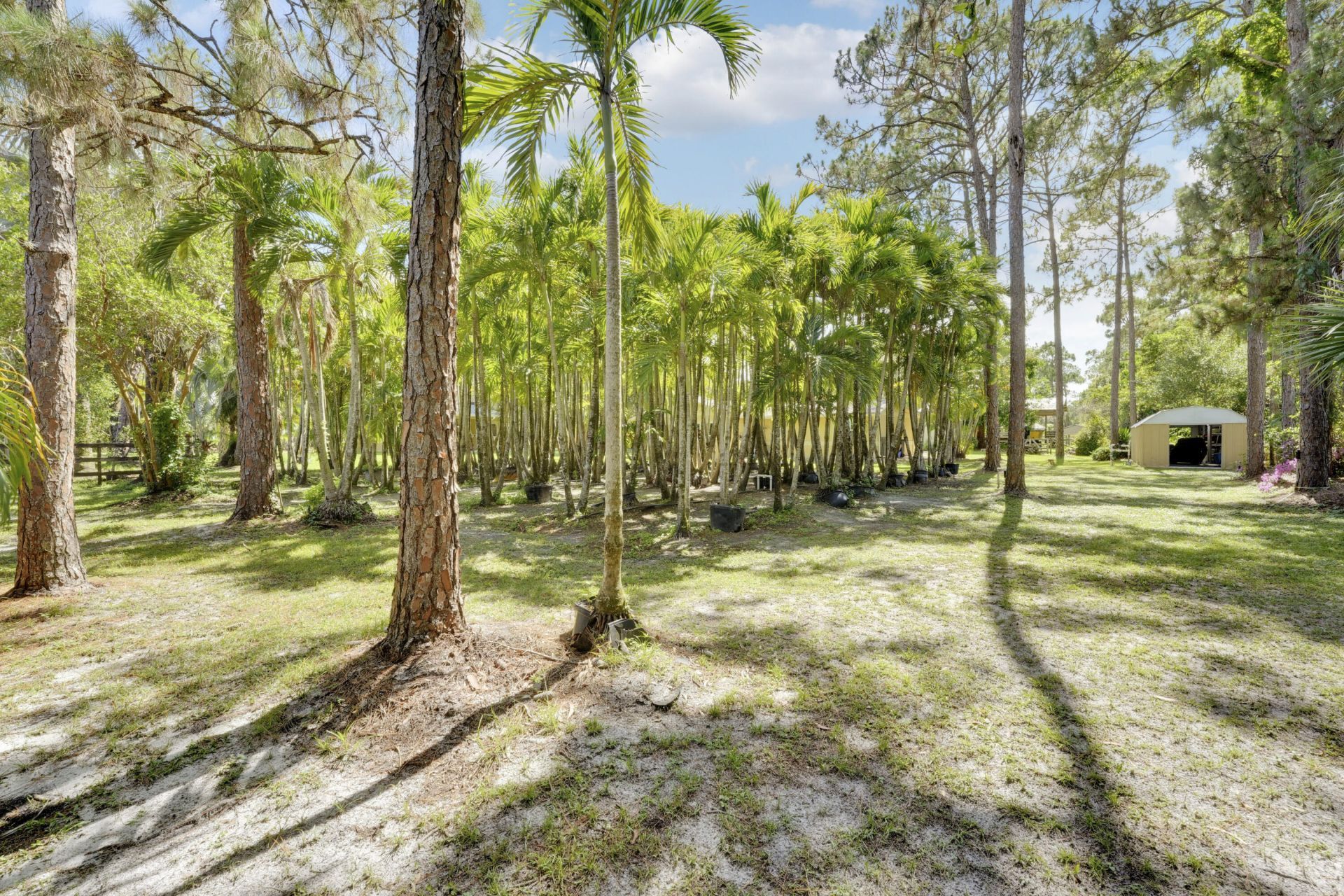 12263 Sandy Run, Jupiter, FL 33478 Photo